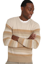 Load image into Gallery viewer, Ombre Striped Crewneck Sweater 
